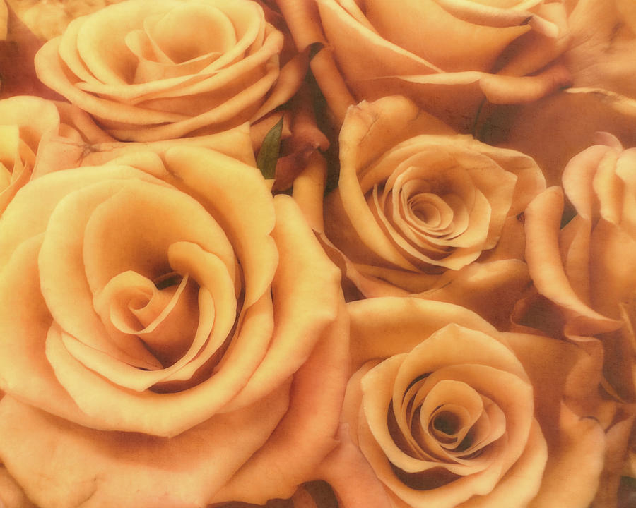 Rose Bouquet photograph Photograph by Ann Powell