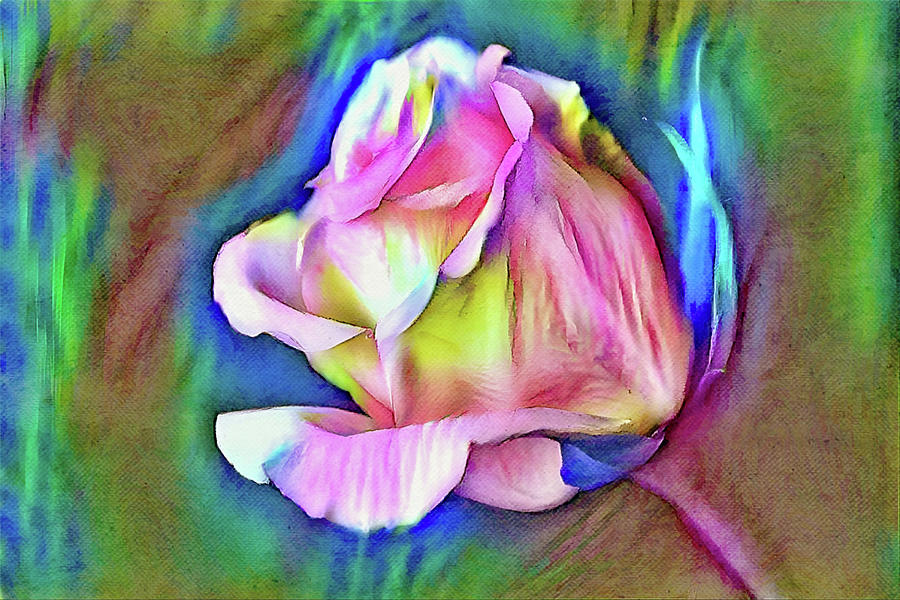 Rose Bud Colorful Lean Digital Art by Gaby Ethington