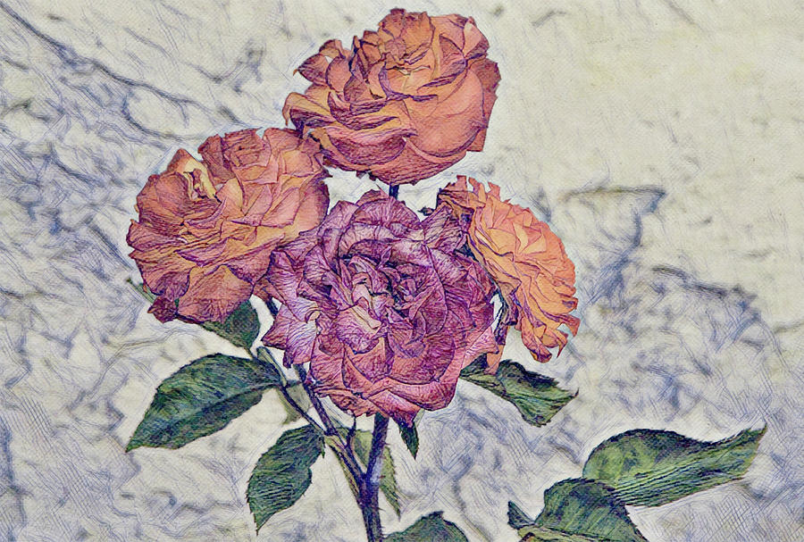Rose Bunch Illustrated Digital Art by Gaby Ethington