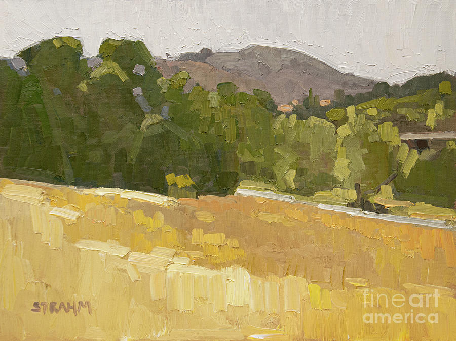 Rose Canyon, San Diego Painting by Paul Strahm