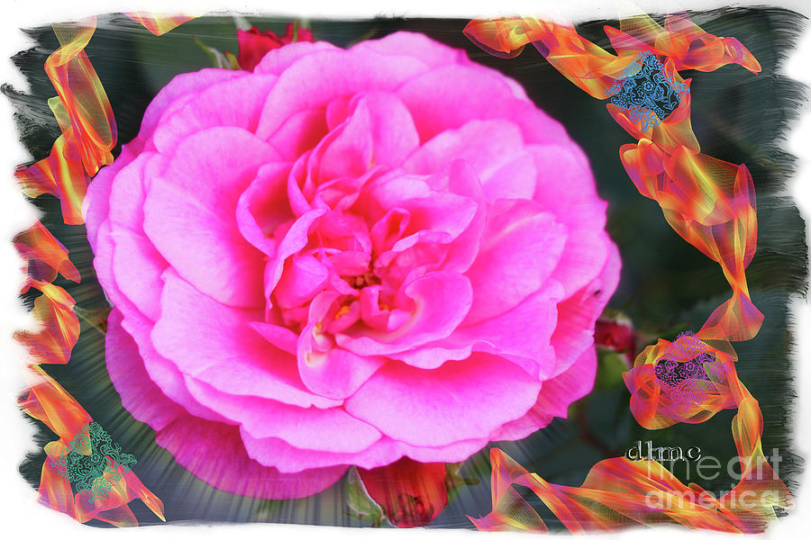 Rose Color Boom Digital Art by Donna L Munro