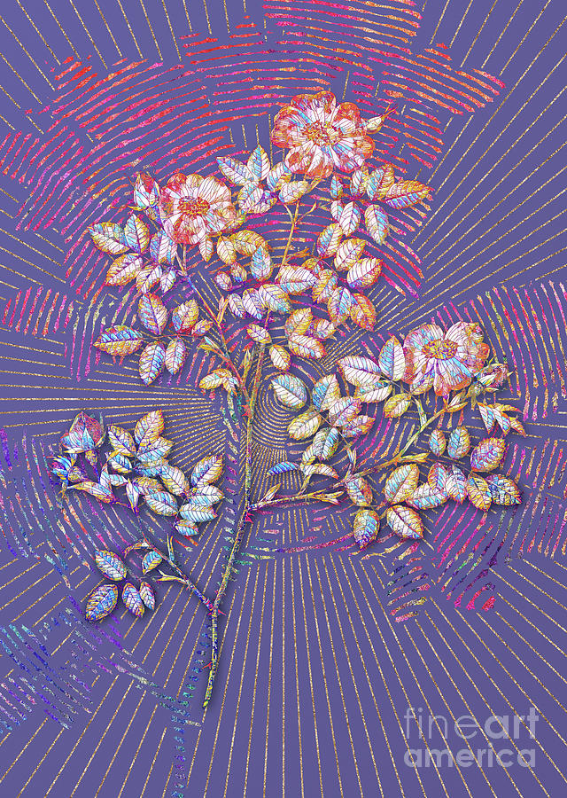 Rose Corymb Mosaic Botanical Art on Veri Peri n.0080 Mixed Media by Holy Rock Design