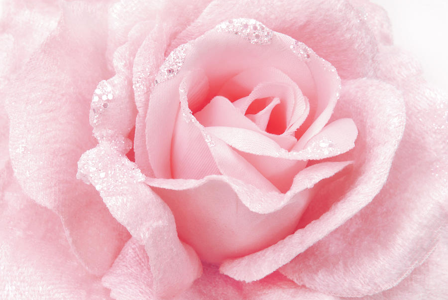 Rose Fabric Pink Texture Photograph by Severija Kirilovaite