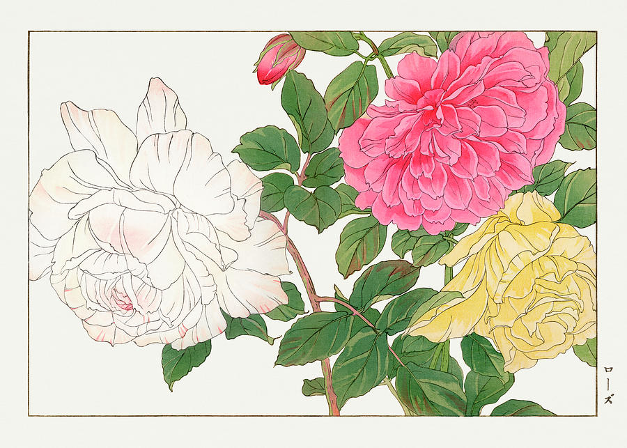 Rose Flower 1 - Ukiyo E Art - Vintage Japanese Woodblock Art - Seiyo Soka Zufu By Tanigami Konan Digital Art