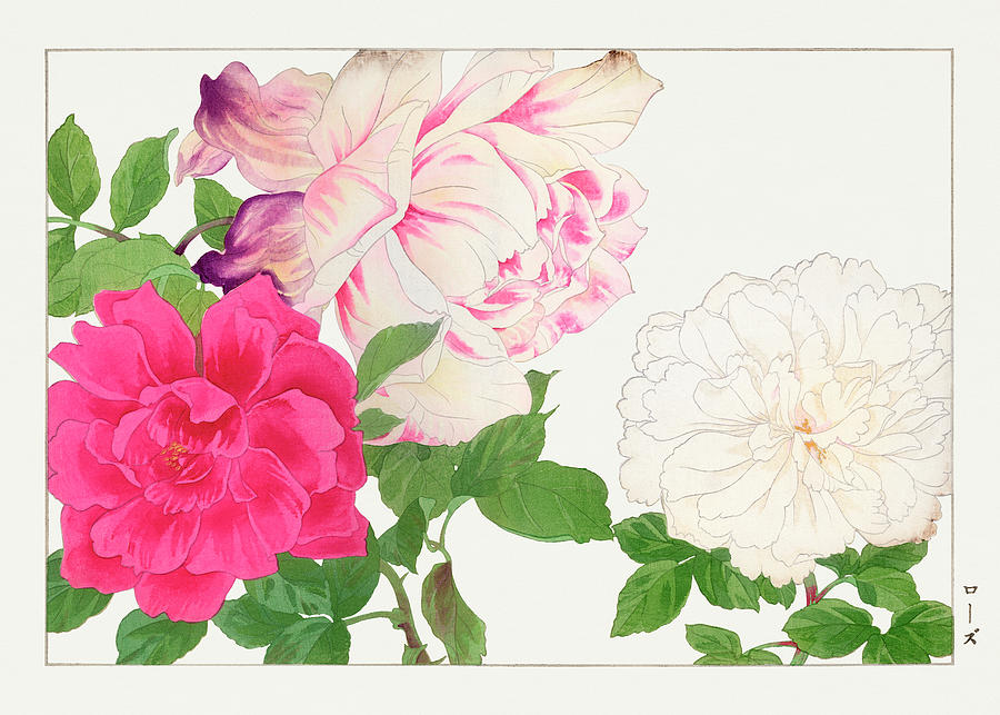 Rose Flower 2 - Ukiyo E Art - Vintage Japanese Woodblock Art - Seiyo Soka Zufu By Tanigami Konan Digital Art