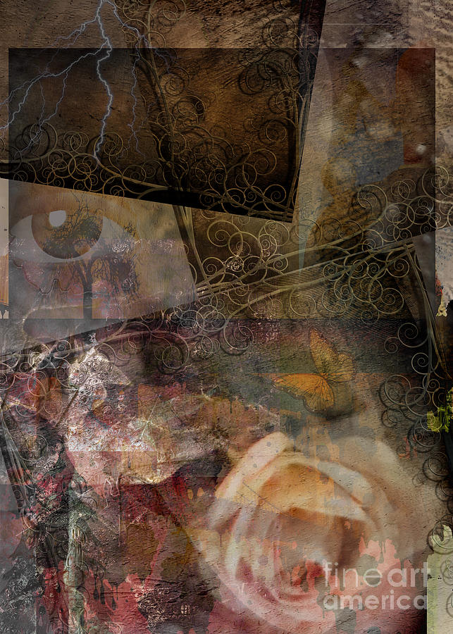 Rose flower in grunge abstract Digital Art by Bruce Rolff