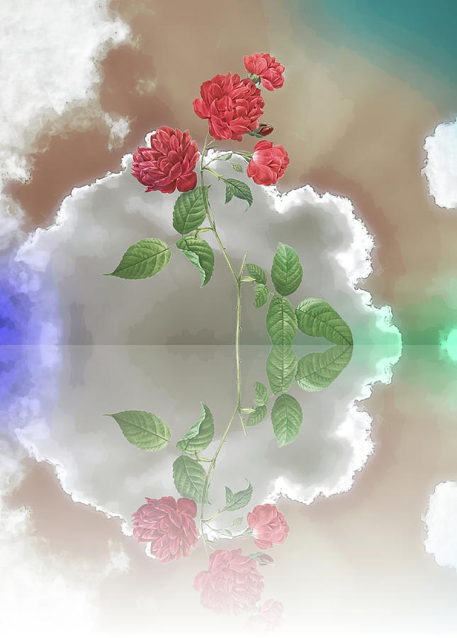 Rose Flowers on Stem and Clouds Reflection Digital Art by Gaby Ethington