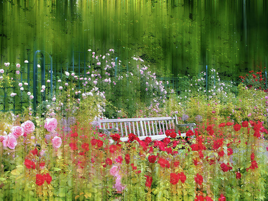 Rose Garden Impressions Photograph by Jessica Jenney