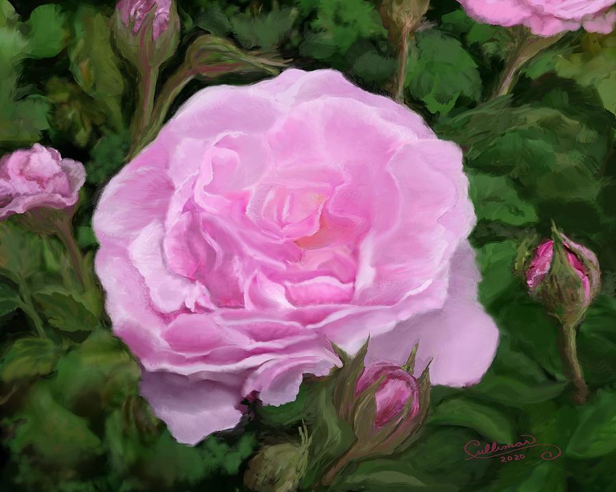 Rose Digital Art - Rose Garden by Marilyn Cullingford