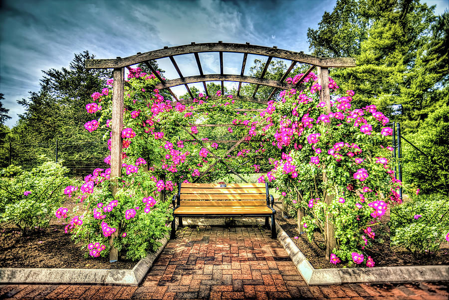 Rose Garden Series From Colonial Gardens In Somerset New Jersey Photograph By Geraldine Scull