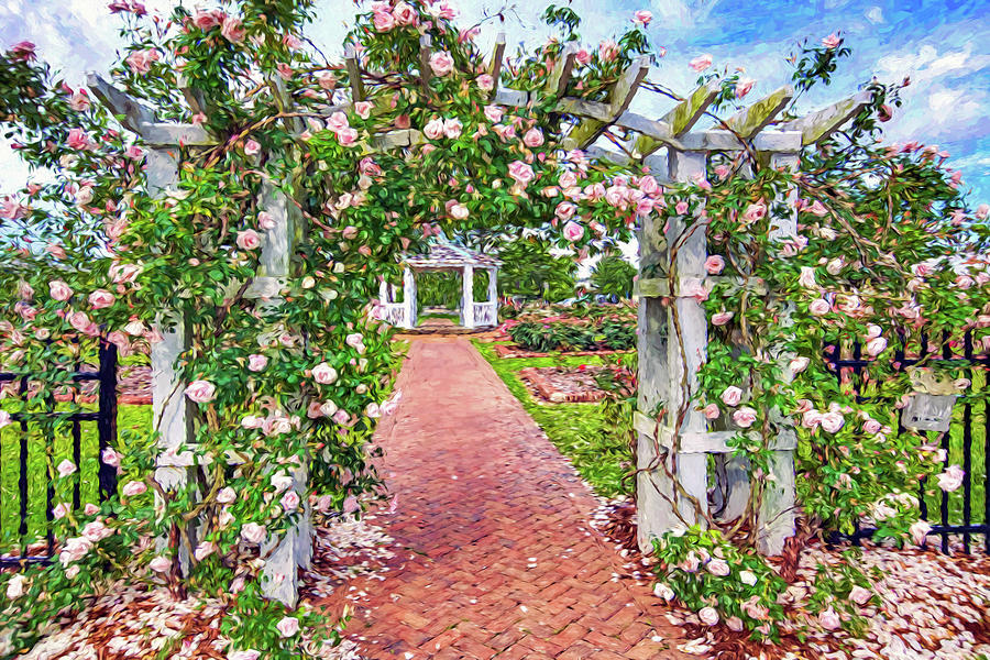 Rose Garden Trellis Photograph by Jerry Gammon