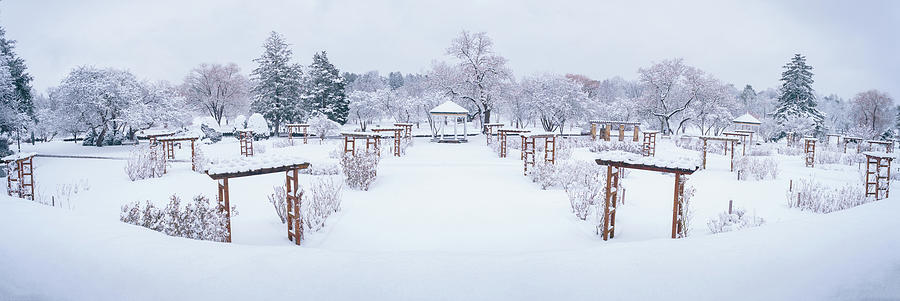 Rose Gardens Winter Panoramic Photograph by Jason Fink