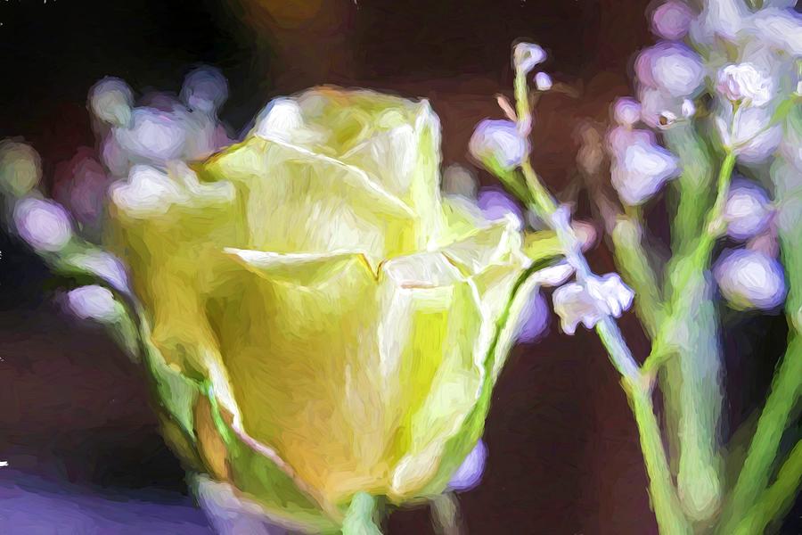 Nature Digital Art - Rose Glow ... by Judy Foote-Belleci