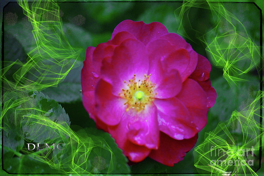 Rose Green Light Painting by Donna L Munro