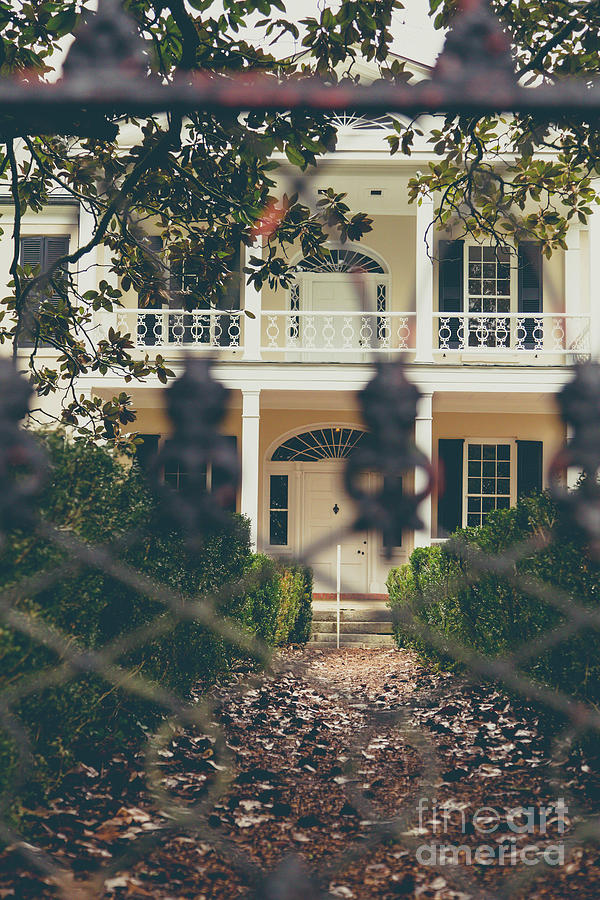 Rose Hill Plantation Through Gate Photograph by Tamara Lance - Fine Art ...