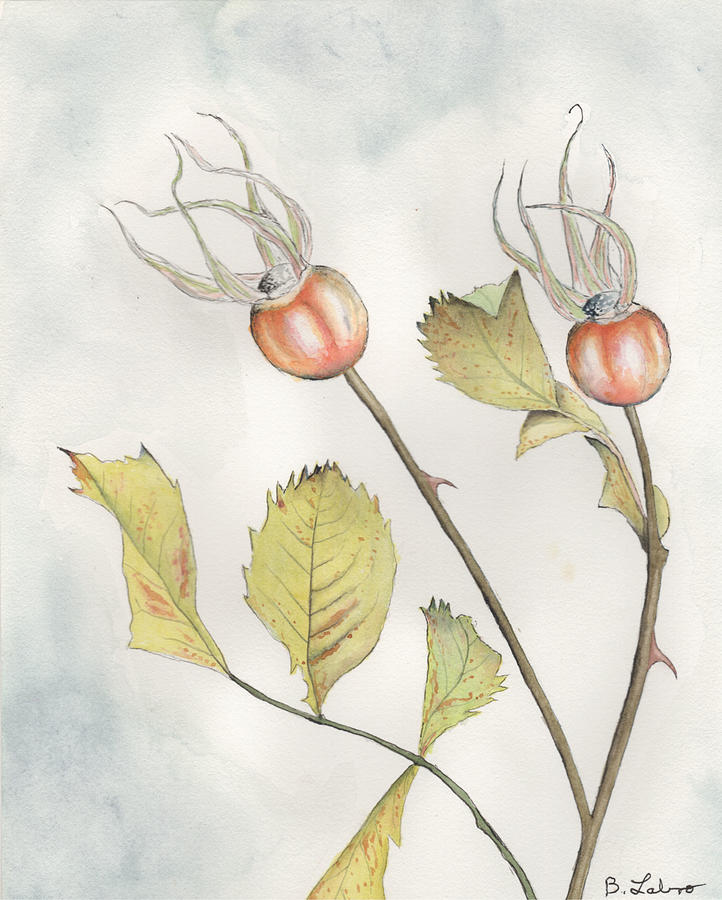 Rose Hips Painting by Bob Labno