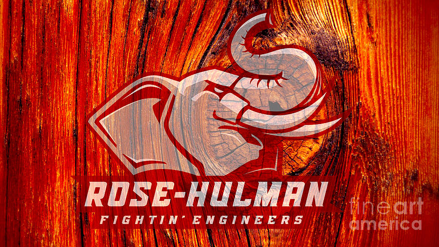 CollegeFanGear Rose Hulman Brushed Silver Business Letter Opener Rose-Hulman Fightin Engineers Engraved 