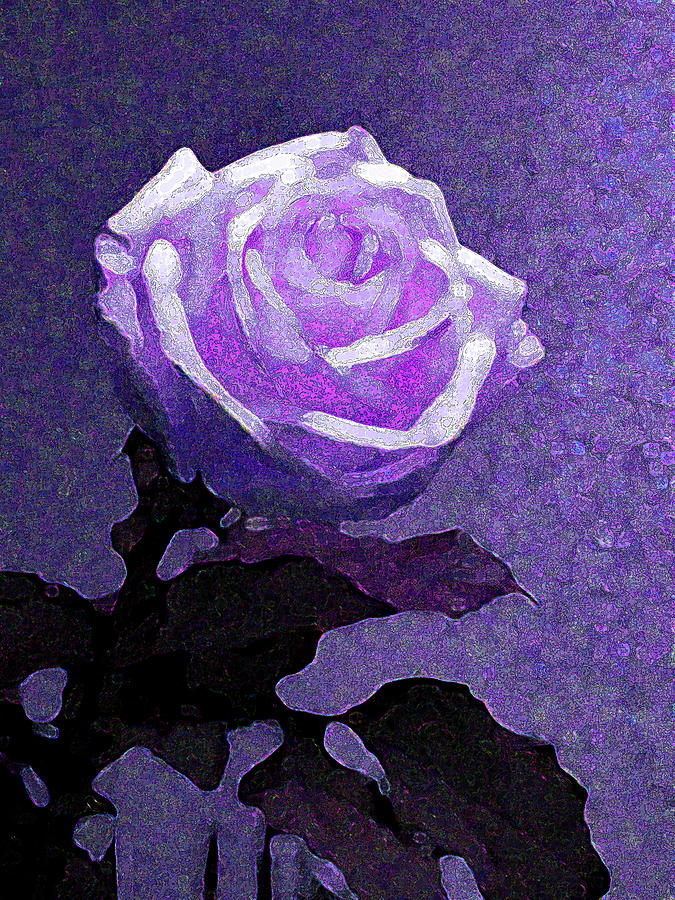 Rose Illuminated Purple Photograph by Corinne Carroll