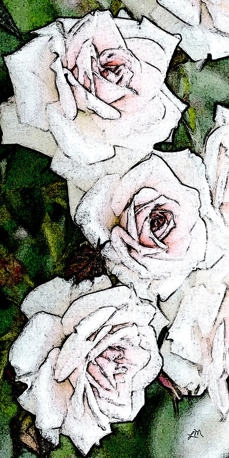 Rose Illusions Digital Art by Linda Mears