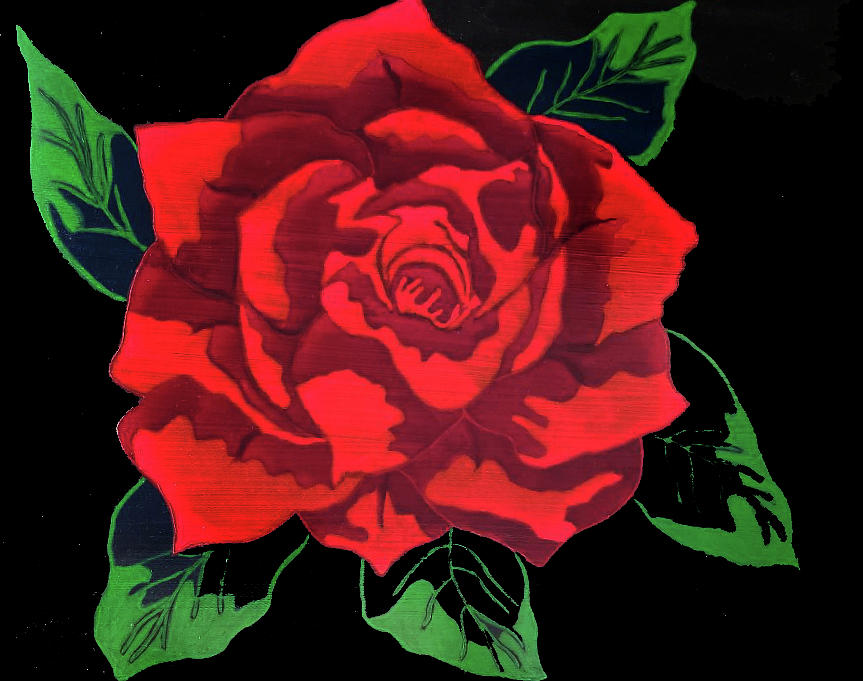 Rose in Bloom Painting by Kingsley Krafts