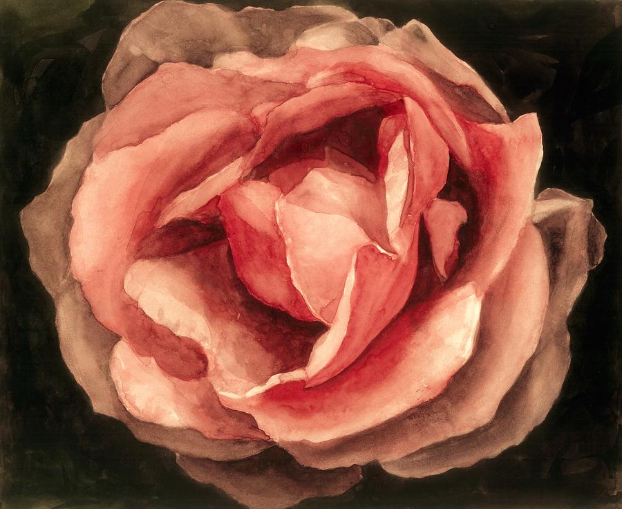 Rose Painting - Rose In Bloom by Nives Palmic