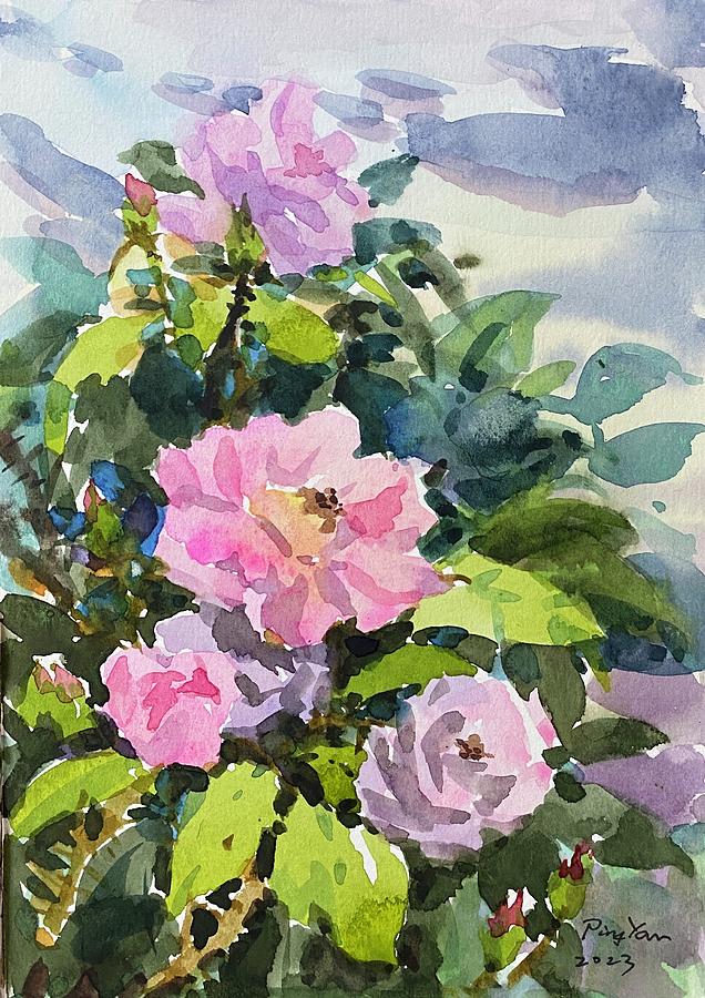Rose in my garden Painting by Ping Yan
