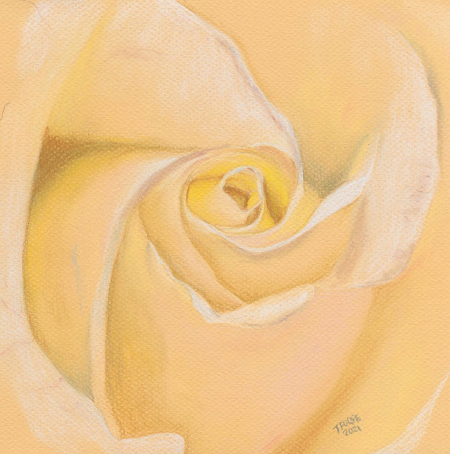 Rose In Pastel Pastel