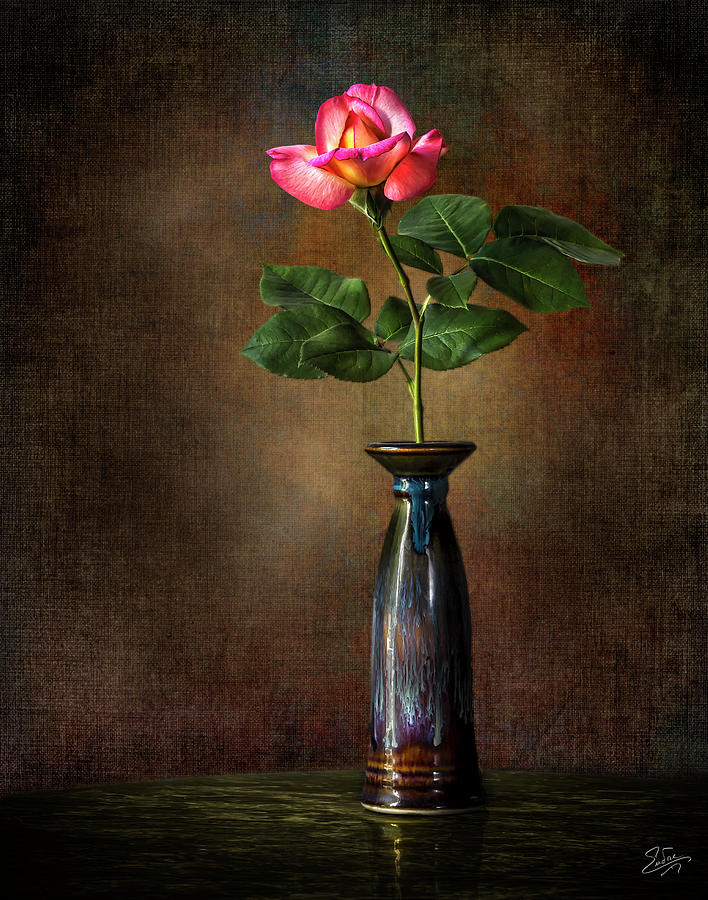 Rose In Vase Photograph by Endre Balogh