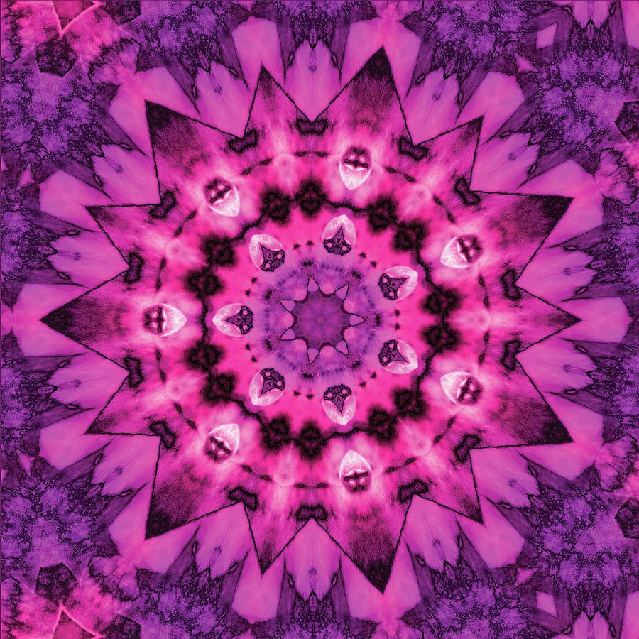 Rose Mandala Digital Art by Dave Turner