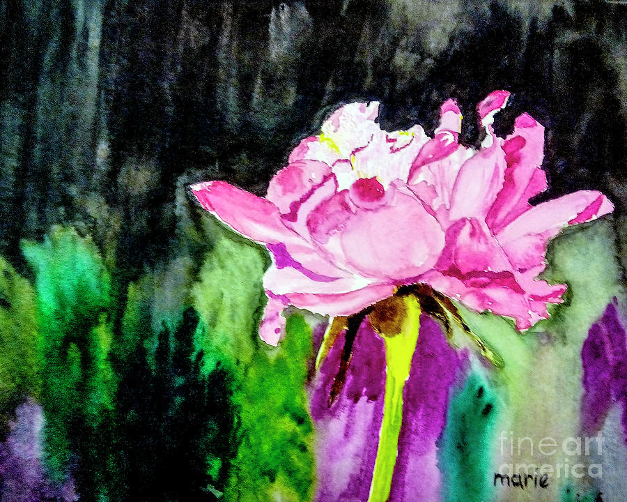 Rose Painting by Marie Dudek Brown