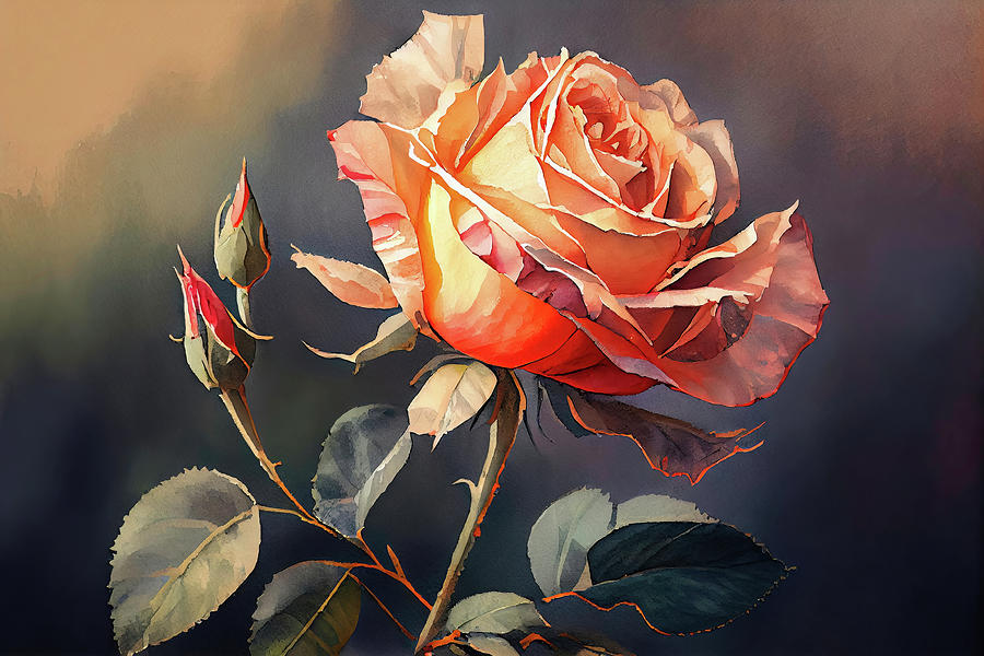 Rose Digital Art By Mike Montalvo - Fine Art America