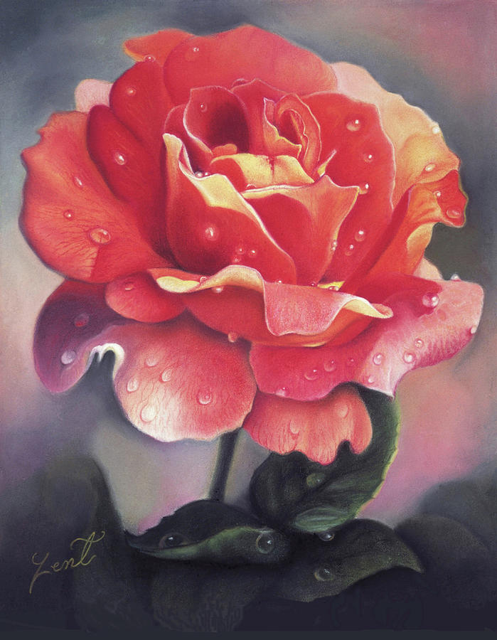 Rose Of Many Colors Pastel by June Pauline Zent