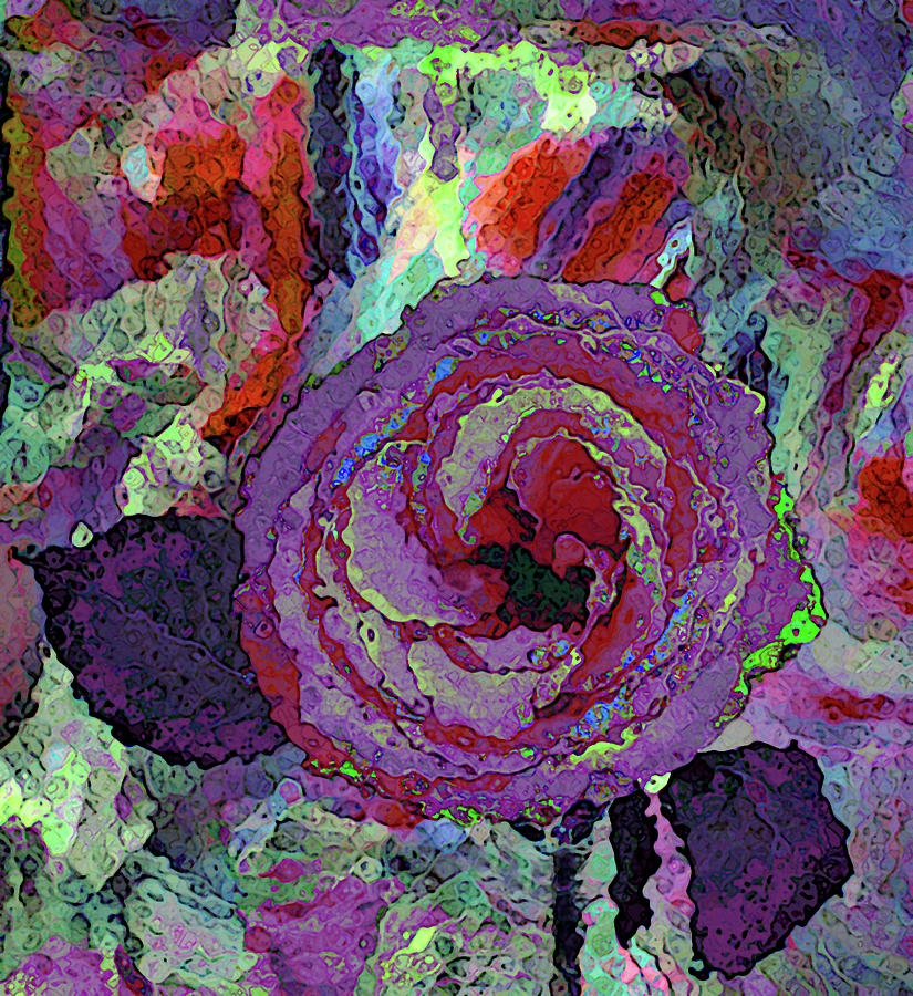 Rose of Purple in Multicolor Bloom Photograph by Corinne Carroll