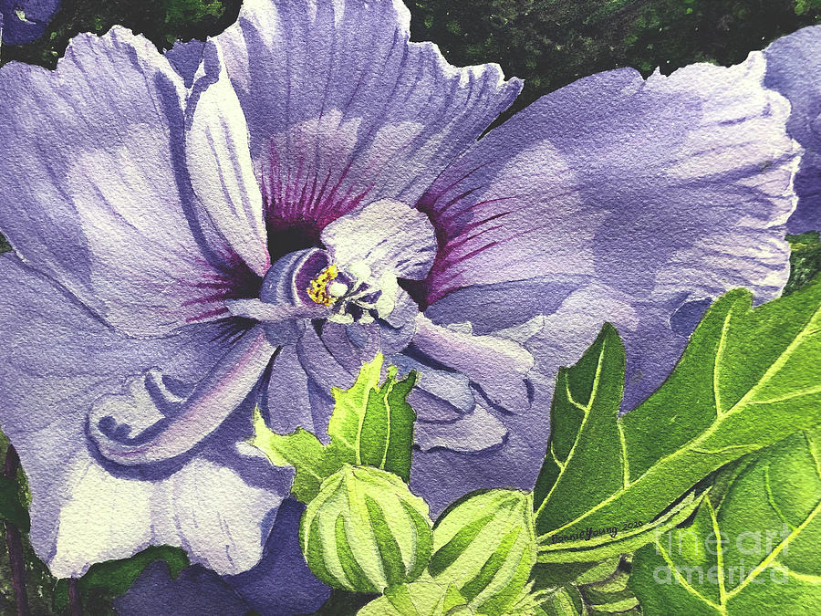 Rose of Sharon Painting by Bonnie Young