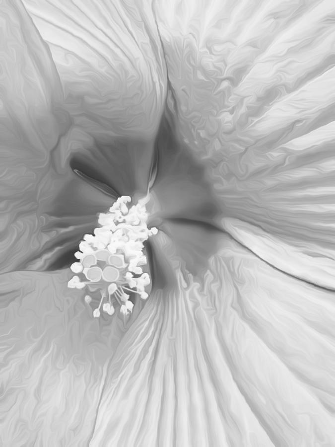 Rose of Sharon BW Photograph by Eileen Backman