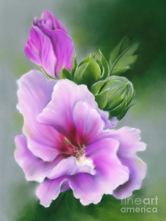 Rose of Sharon Flower and Buds Painting by MM Anderson