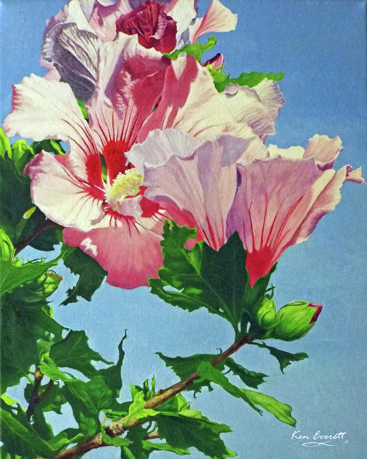 Rose of Sharon Painting by Ken Everett