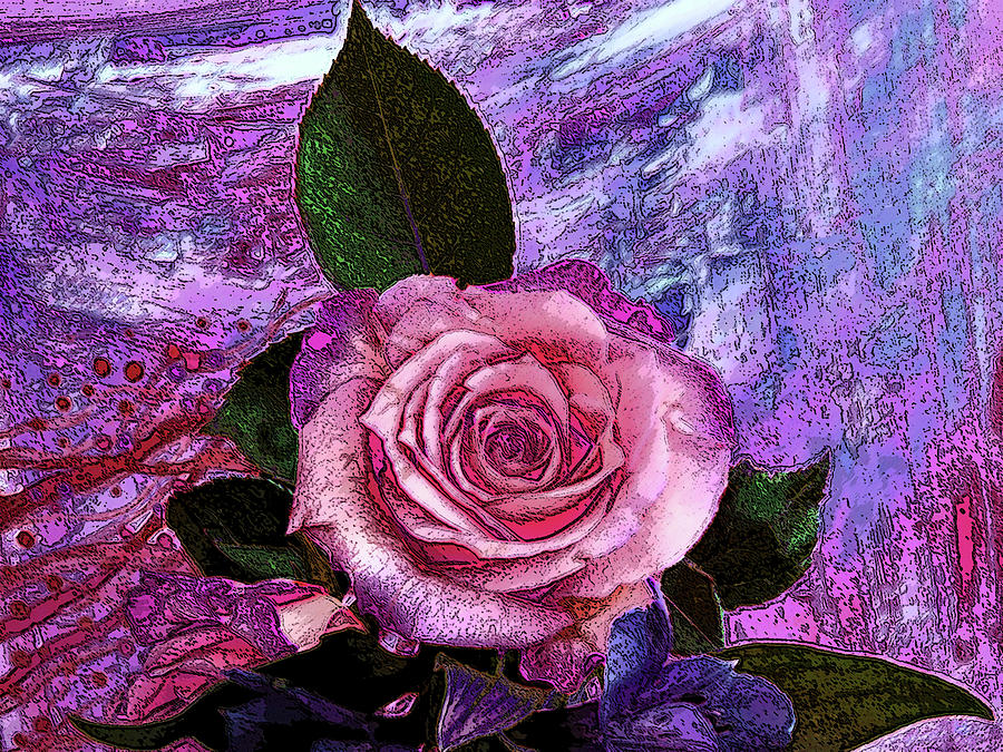 Rose of Super Pink Photograph by Corinne Carroll