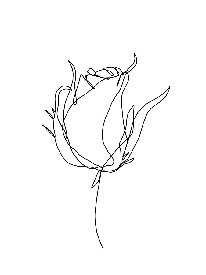 Rose One Line Art Drawing by Doodle Intent - Fine Art America