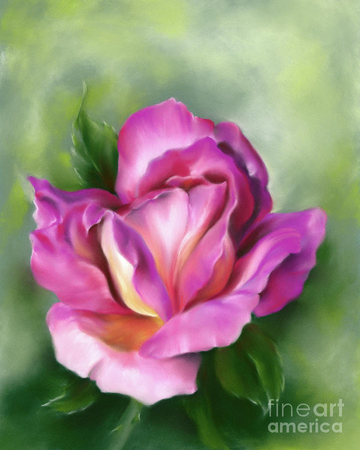 Rose Peace Colorful Pink and Yellow Flower Painting by MM Anderson