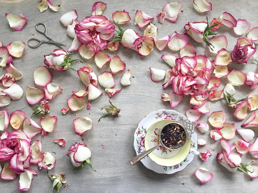 Rose petals and a cup of tea Photograph by JuliaK