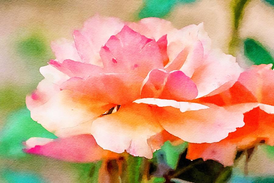 Rose Petals Watercolor Photograph by Susan Rydberg