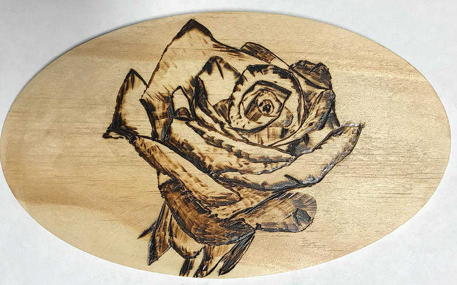 Rose Pyrography by Terry Frederick