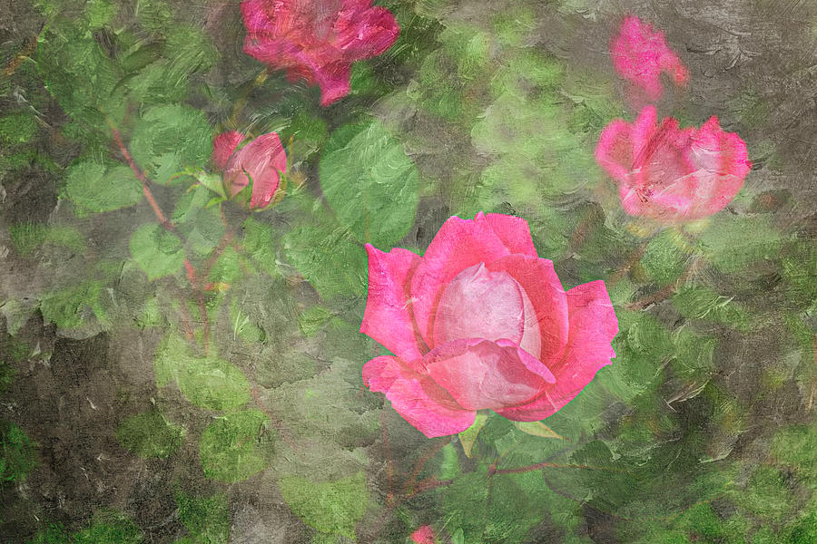 Rose Textures Photograph by Mary Lee Dereske