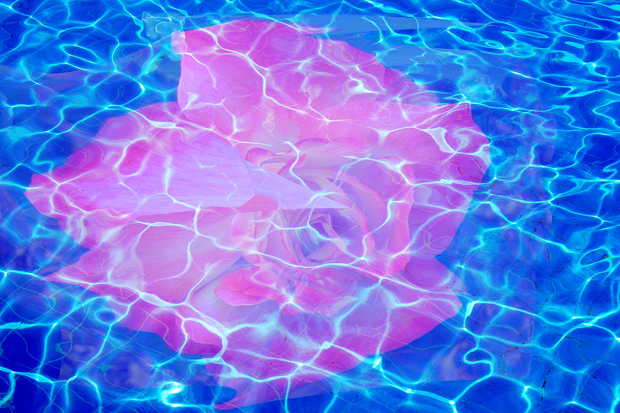 Rose Underwater Digital Art