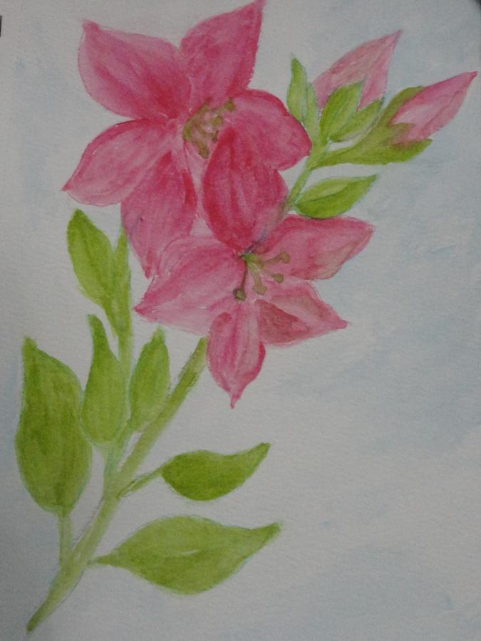 Azaleas in Permanent Rose Watercolors Painting by Rosie Foshee - Pixels