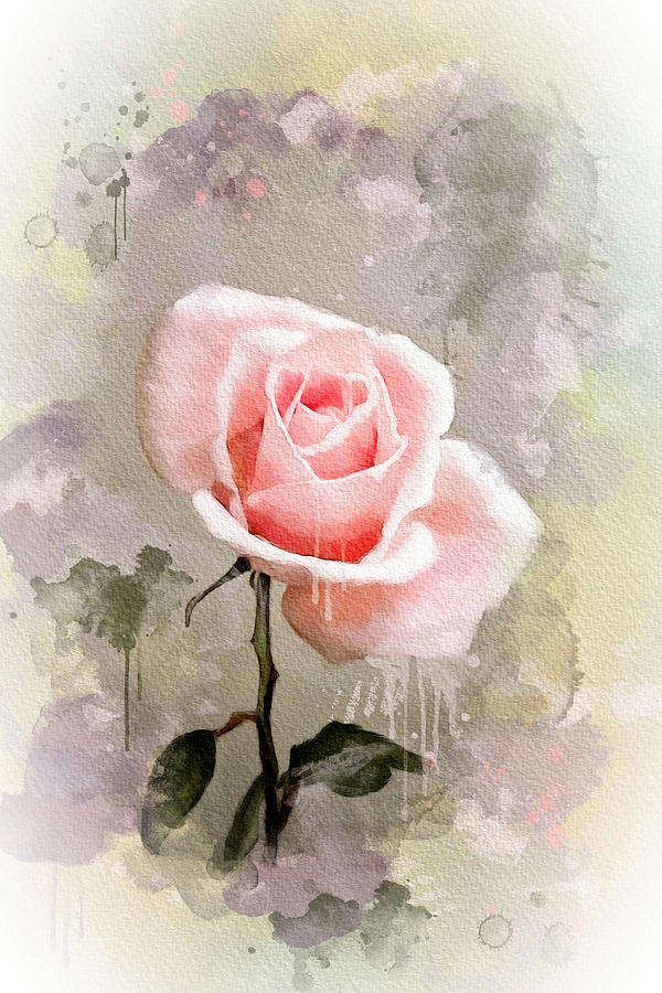Rose Watercolor Digital Art by Mary Timman