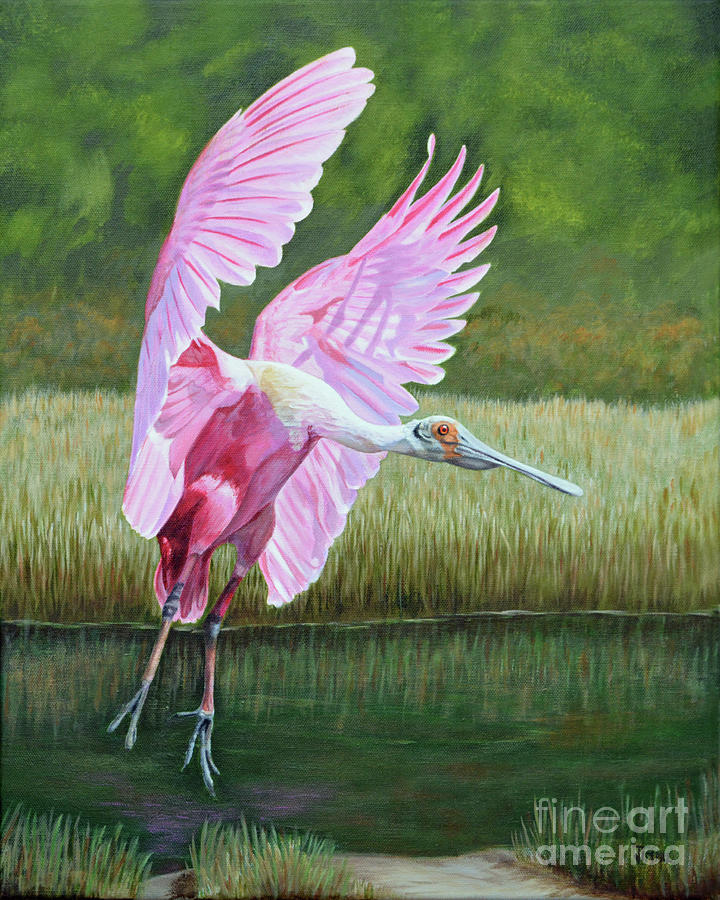 Roseate Spoonbill In The Marsh Painting by Jimmie Bartlett