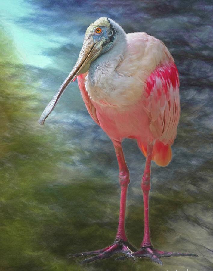 Roseate Spoonbill No 1 Mixed Media by Steve DaPonte