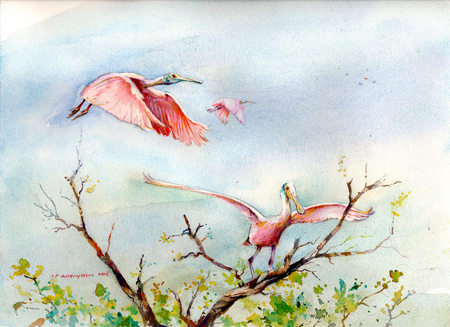 Roseate Spoonbill Painting by P Anthony Visco